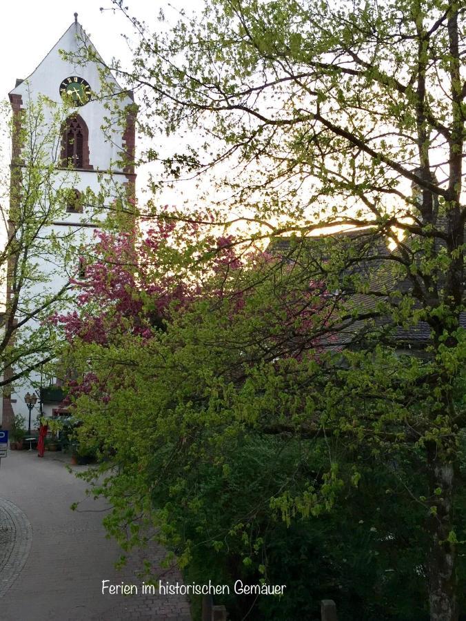 Appartment Entegast - Edles Landhausflair Zum Geniessen ショップハイム エクステリア 写真